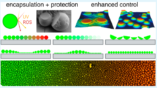 A Multifunctional Encapsulation and Delivery Platform Based on ...