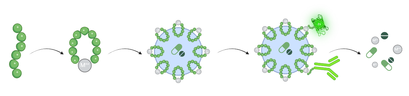 A Multifunctional Encapsulation and Delivery Platform Based on ...
